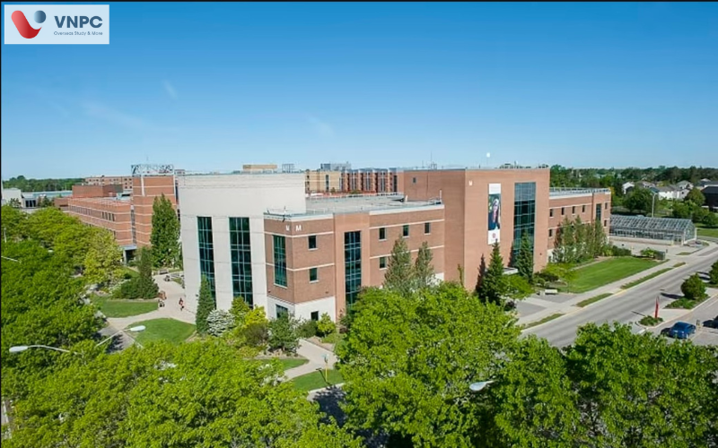 Du học Canada ngành khoa học dữ liệu